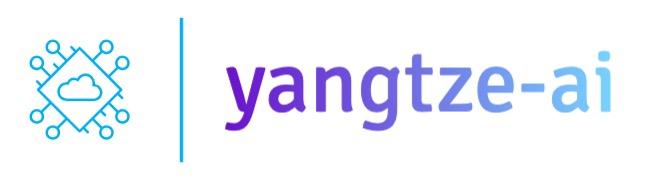 上海异域同云信息技术有限公司